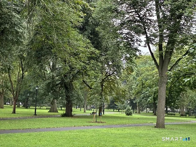 1 bed, 1.0 bath, 1000 sqft, $2,650 — Photo 3