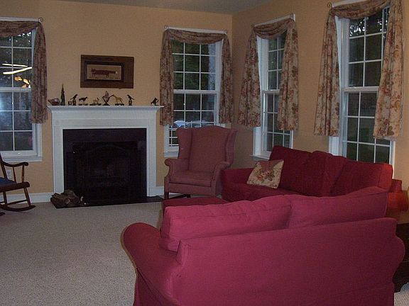 Den w/Woodburning Fireplace