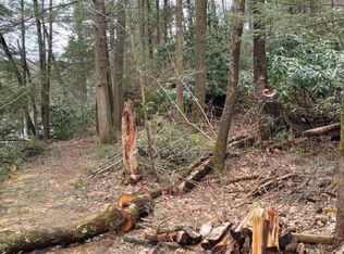 0 Messinger Way, Buckhannon, WV 26201