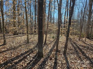 0 General Griffith Cir #35 & 37, Rutherfordton, NC 28139