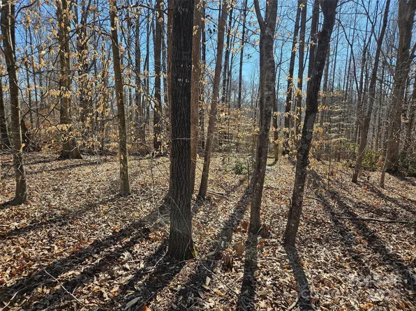 0 General Griffith Cir #35 & 37, Rutherfordton, NC 28139