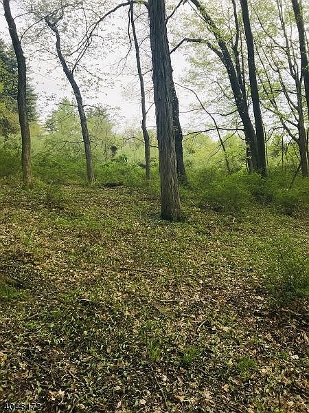 1st image of 18 Meadow Ln