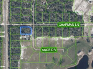 1101 Chapman Ln, Sebring, FL 33875