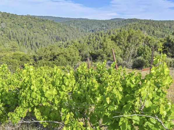 7240 Happy Valley Rd, Somerset, CA 95684
