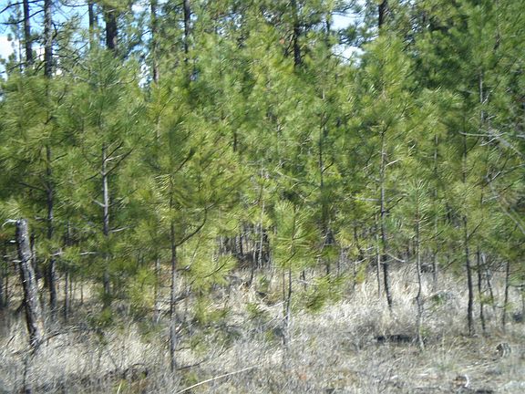 3rd image of 2975 Cottonwood Creek Rd #F