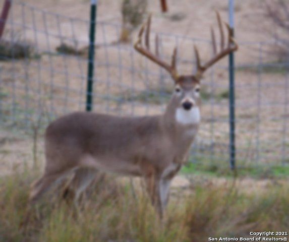 1st image of 223-2691