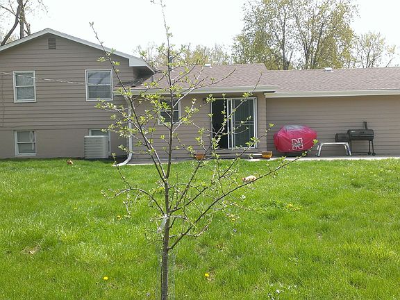 Large, flat back yard