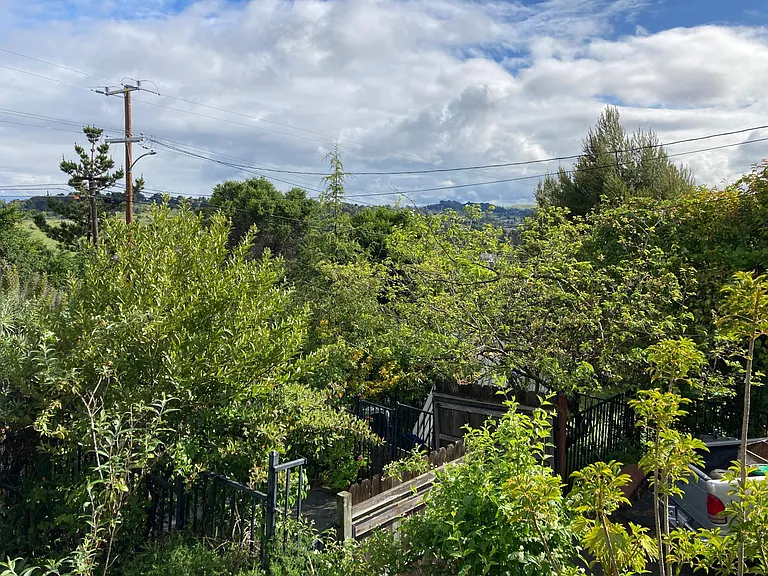 3316 Hillcrest Rd — Photo 35