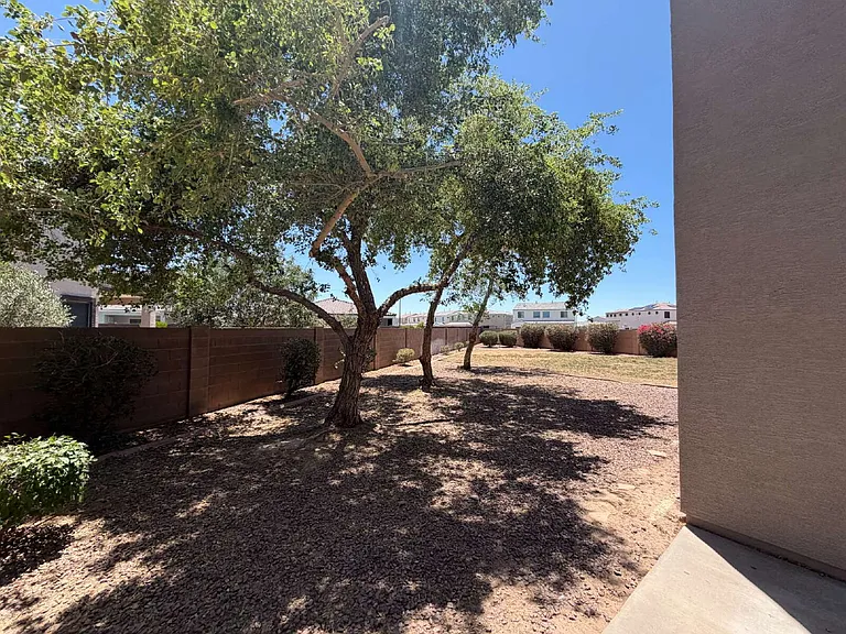 38134 N Establo Dr — Photo 28