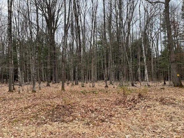 LOT 3 W Forest Lake Rd, Land O Lakes, WI 54540