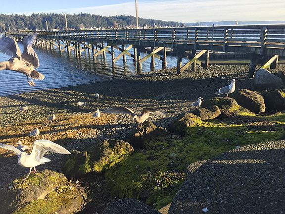 Allyn Waterfront Park