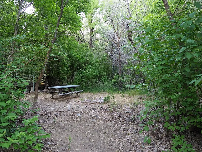 Canyon Rd — Photo 17