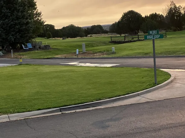 8223 BOGIE Loop #233, Show Low, AZ 85901