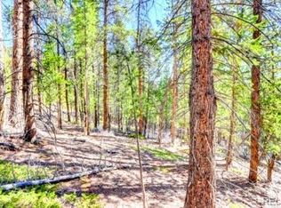 2222 Swift Claim Road, Georgetown, CO 80444