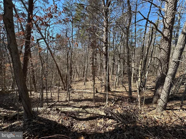 Lookout Dr, Shenandoah, VA 22849