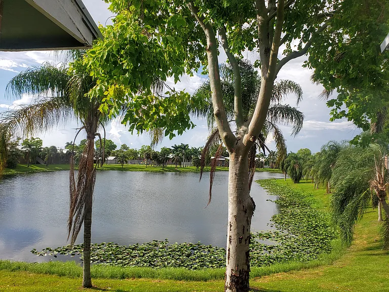 Lake View Villas — Photo 11