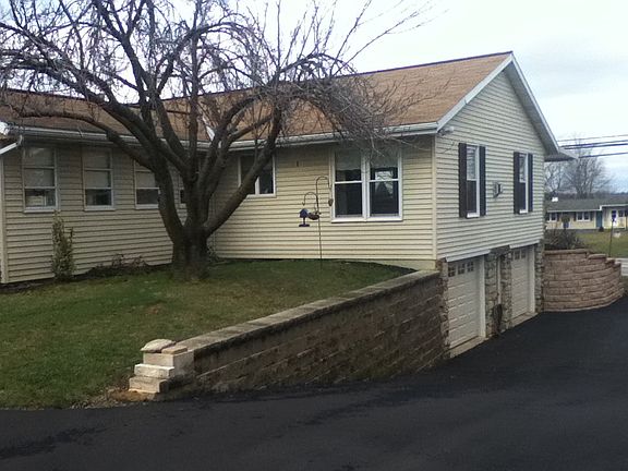 Japanese Cherry blossom