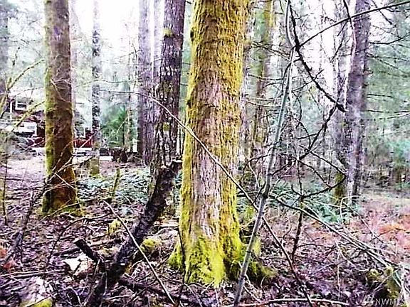 5th image of 0 Cascade Dr
