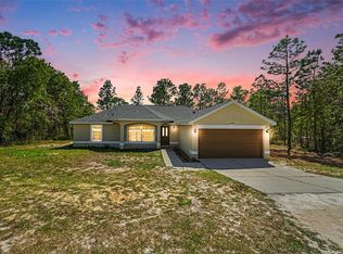 12276 Snow Goose Ave, Weeki Wachee, FL 34614