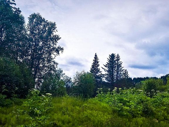 3rd image of 630 Daybreeze Ct