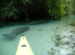 Canary Ave, Weeki wachee, FL 34613