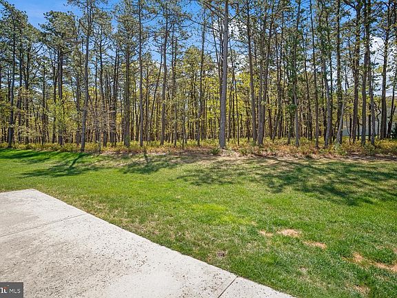 3rd image of 54 Chatham Rd