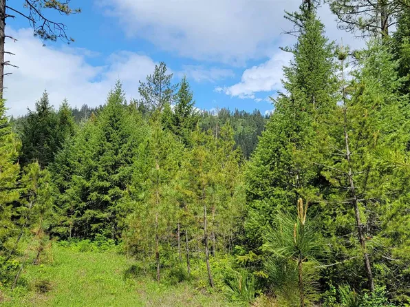 Nna N Bodie Canyon Rd Tract 1, Priest River, ID 83856