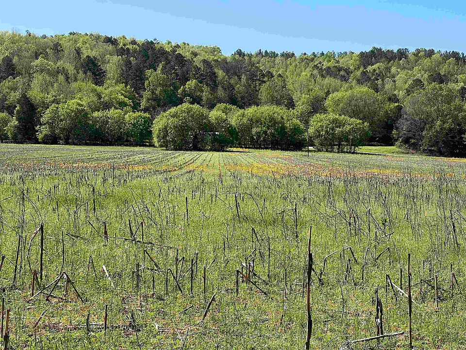 0 Second Creek Rd, Lutts, TN 38471 Zillow