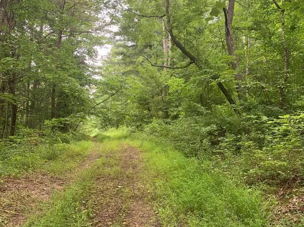 13135 Morehead Rd, Wallingford, KY 41093