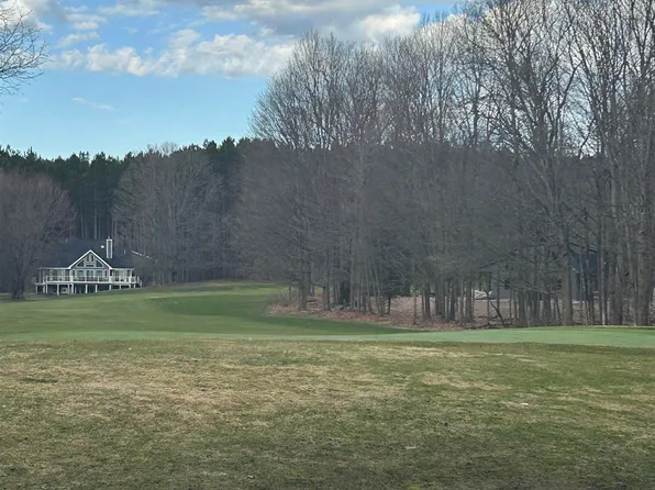 LOT 21 Schuss Mountain Dr, Bellaire, MI 49615