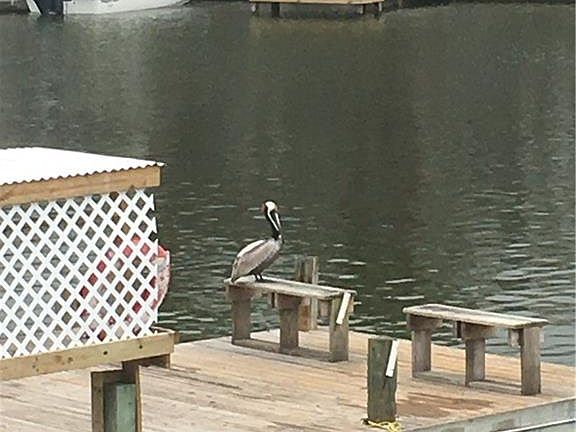 2nd image of 14300 S Padre Island Dr APT 101