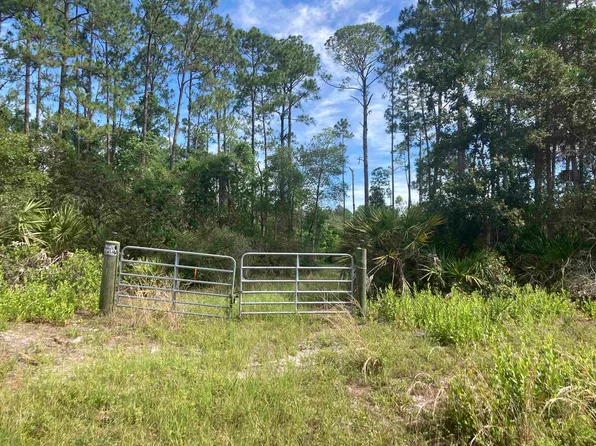 160 Edgemere Dr, Georgetown, FL 32139