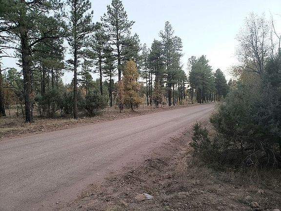 3rd image of 620 Rim Dr