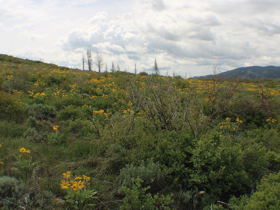 1st image of Caribou Village Subdivision