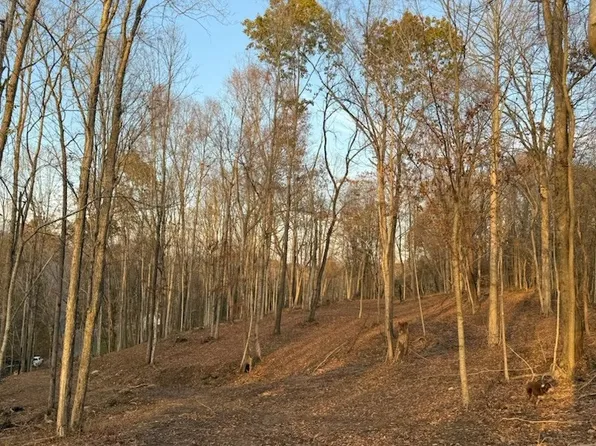 1548 Rabe Coats Rd Lot 2, Westmoreland, TN 37186