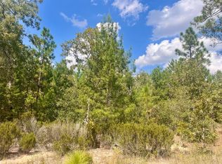 204 Glasgow St #24, Interlachen, FL 32148