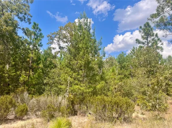 204 Glasgow St #24, Interlachen, FL 32148