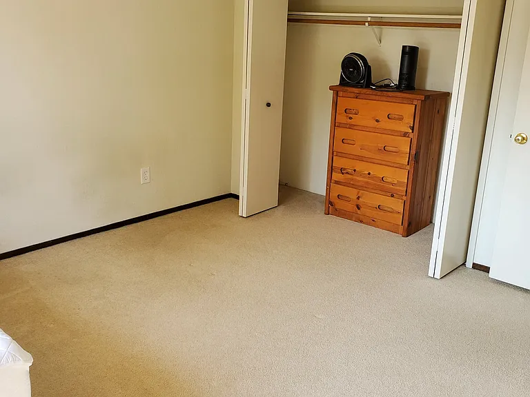 161 Peach Ter — Photo 19