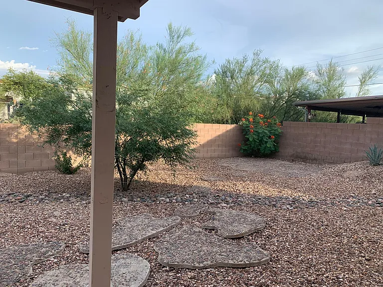 Backyard