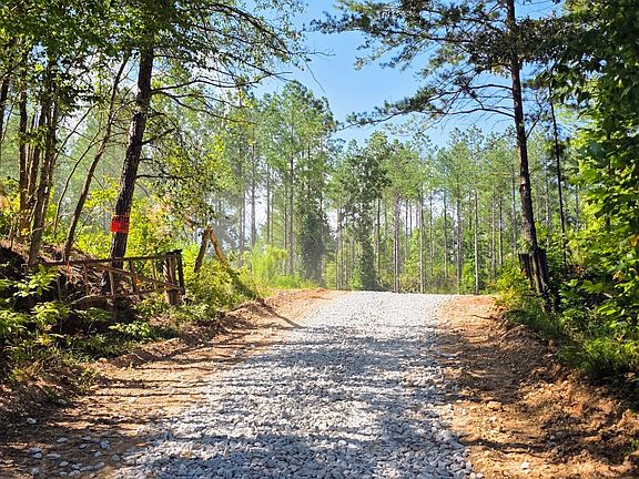 5th image of 0 County Road 451