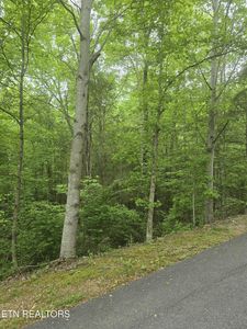 LOT 120 Lower Bluff Way, Sevierville, TN, 37862
