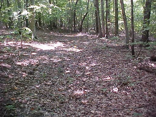 1st image of 384 Holloway Dr