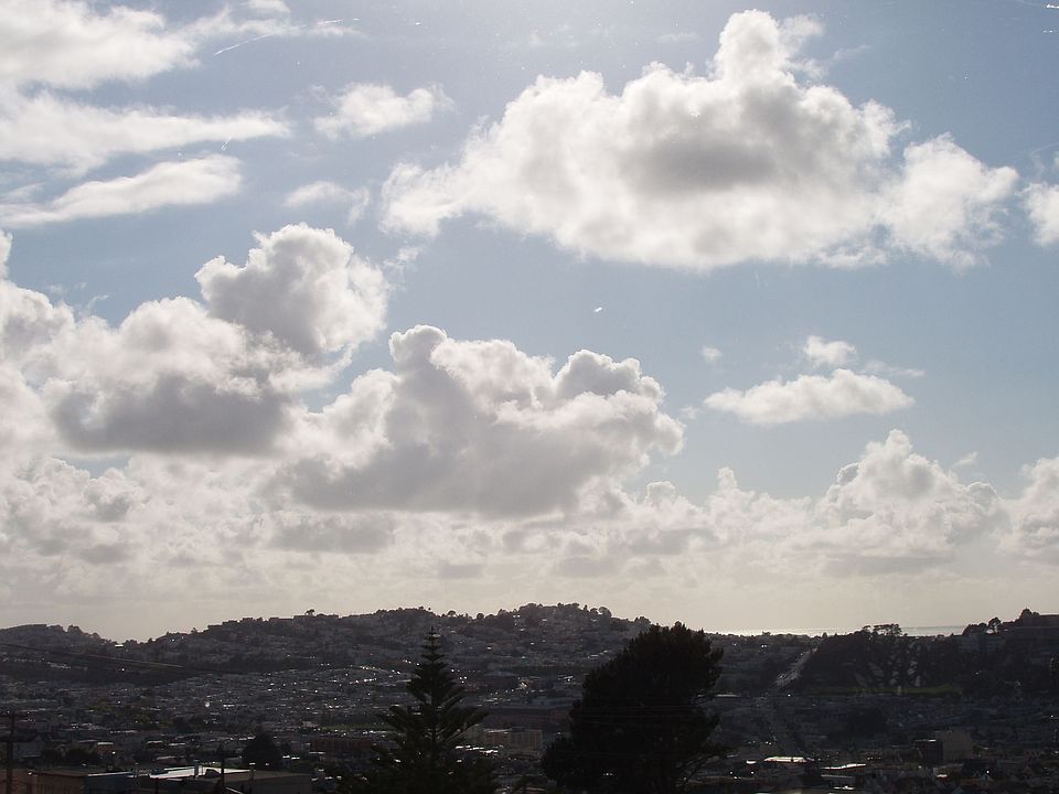 West view from Living Room