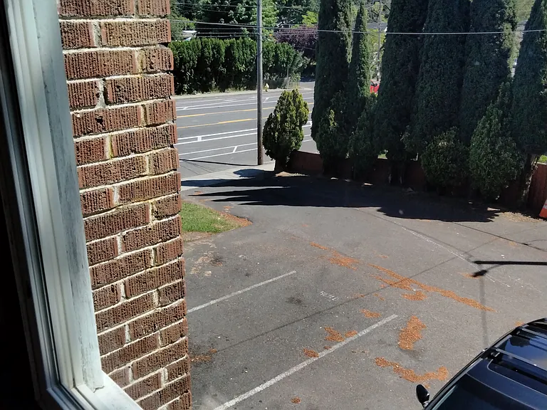 SE 162nd Ave — Photo 48