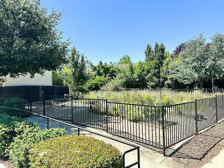 Community garden adjacent to house