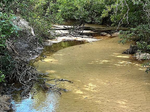 Cypress Creek