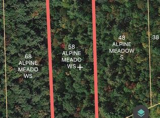 58 Alpine Meadows Rd, Porter Corners, NY 12859