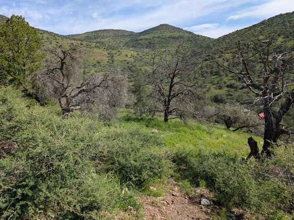 101 Tejano Trl, Fort Davis, TX 79734