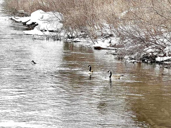 820 Boardman Acres Dr #6 & 7, Traverse City, MI 49696