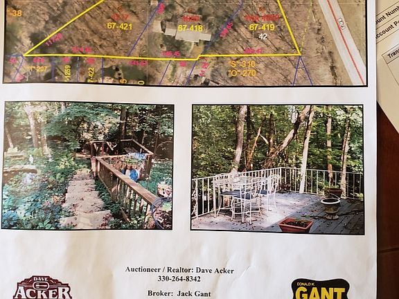 Auction flyer 1